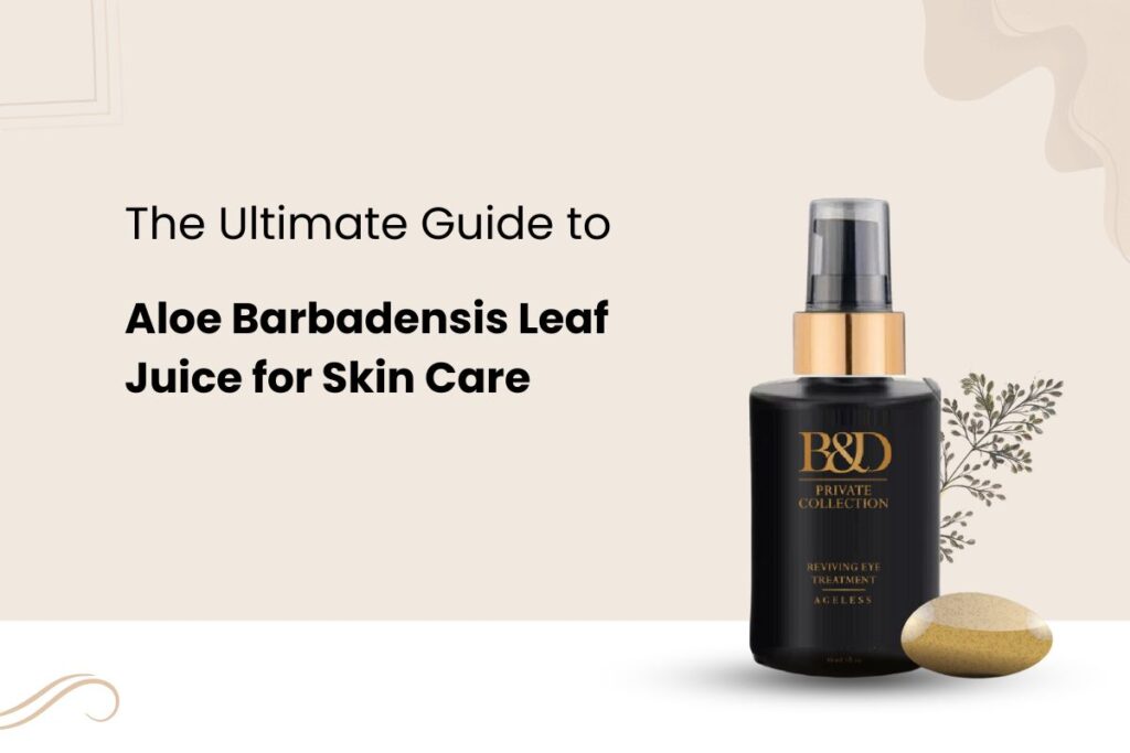 The Ultimate Guide to Aloe Barbadensis Leaf Juice for Skin Care