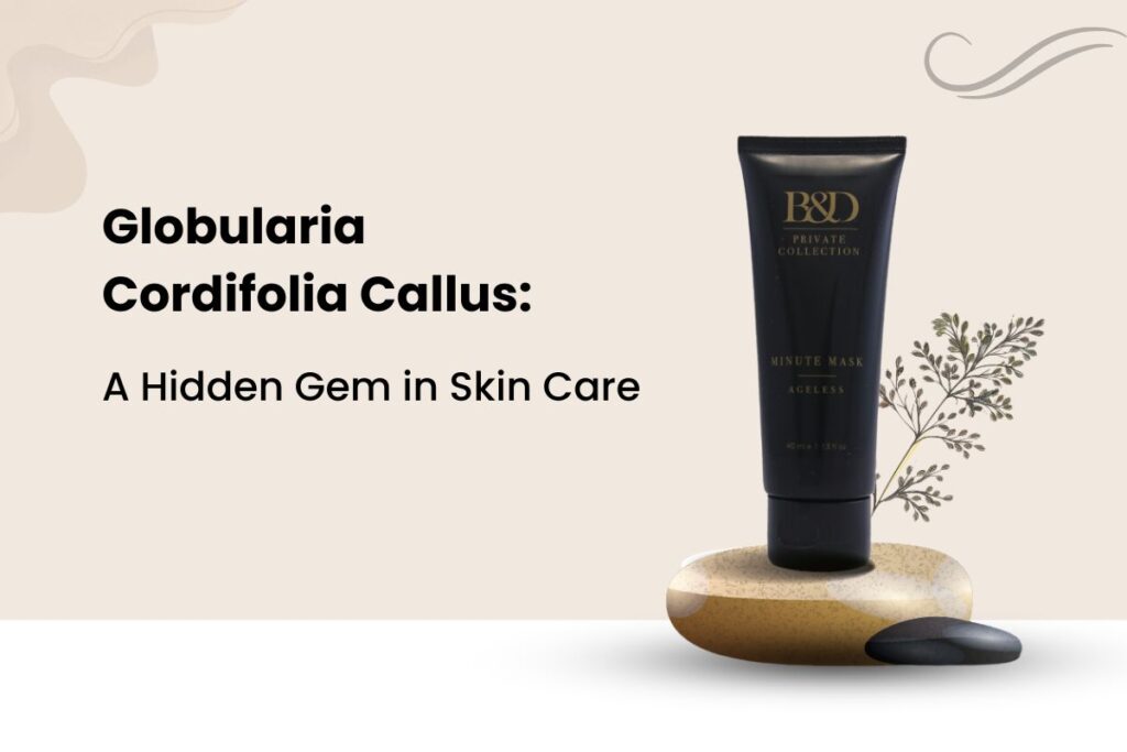 Globularia Cordifolia Callus: A Hidden Gem in Skin Care